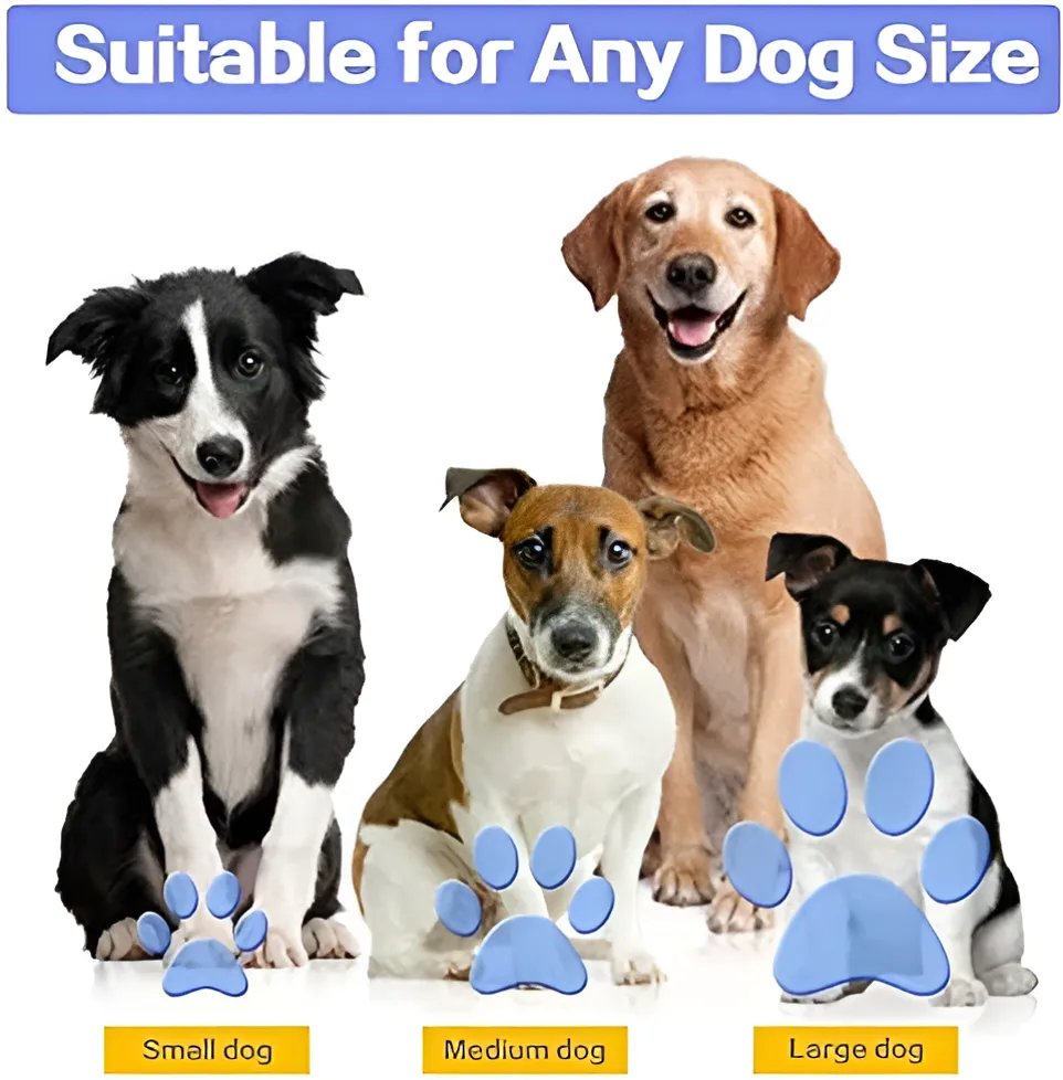 4-in-1 Dog Leash