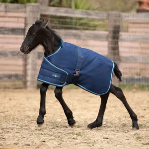 All Around Foal Turnout || 180 Gram