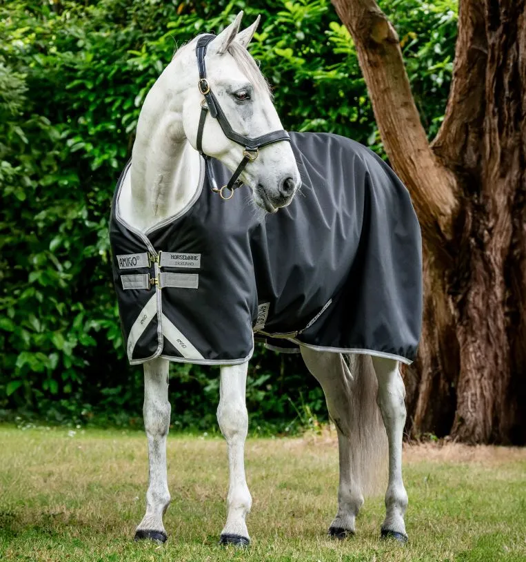 Amigo Bravo 12 Turnout Blanket, Lite Weight (100g Fill)