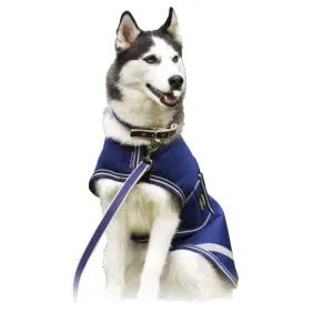 Amigo Dog Blanket 100g