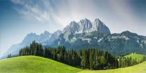 AOFOTO 6x3ft Polyester Beautiful Natural Scenery Backdrop Poster Banner Country Grassland Prairie Pine Trees Forest Mountains Landscape Background for Photography Events Photo Studio Props