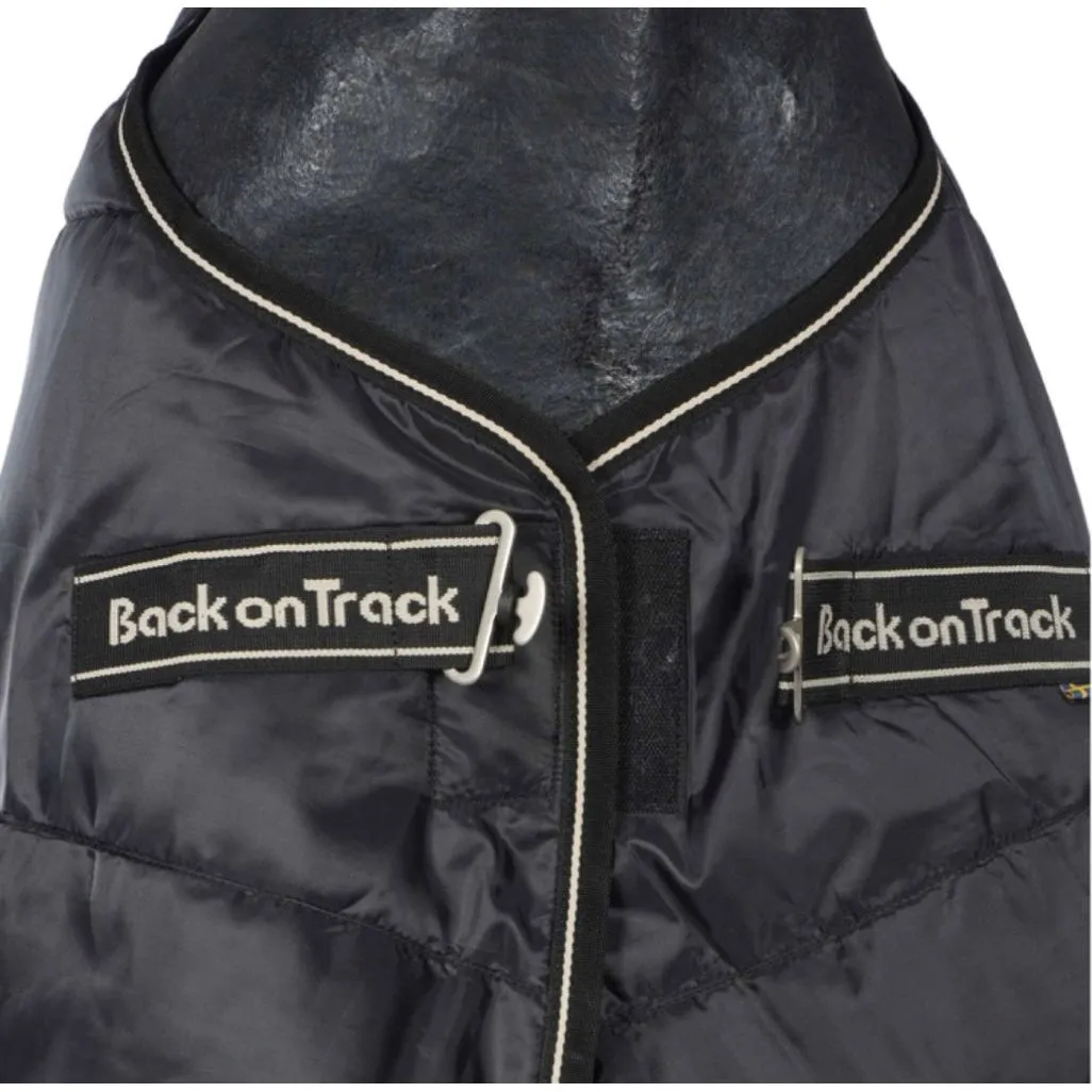 Back On Track Horse -  Ridolite Insulated Liner 200g