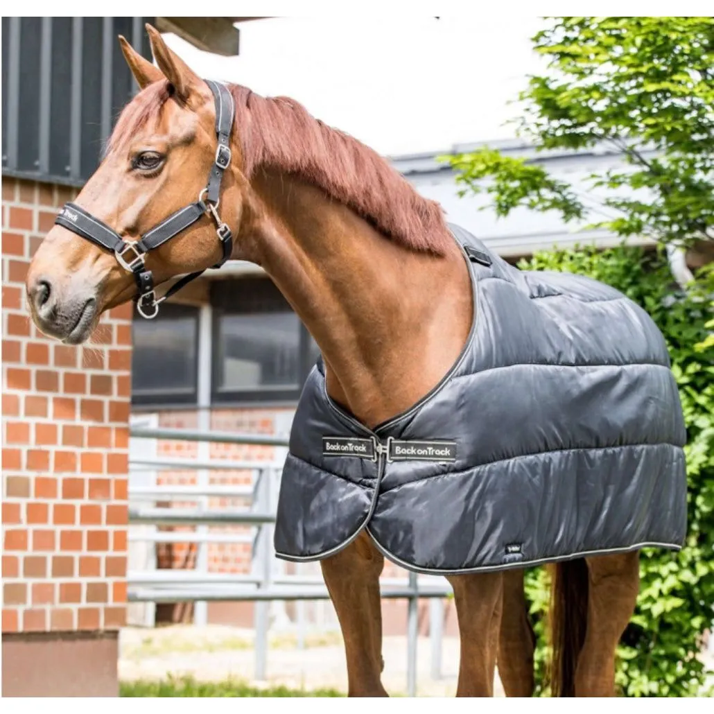 Back On Track Horse -  Ridolite Insulated Liner 200g