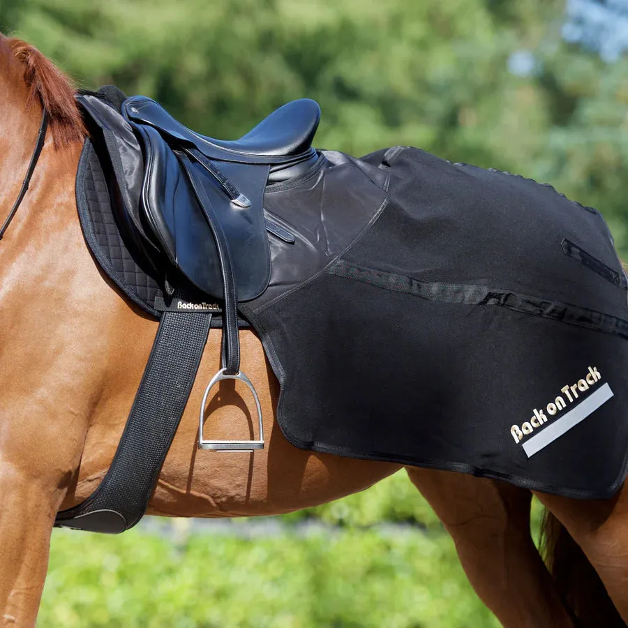 BOT Equine Exercise Sheet