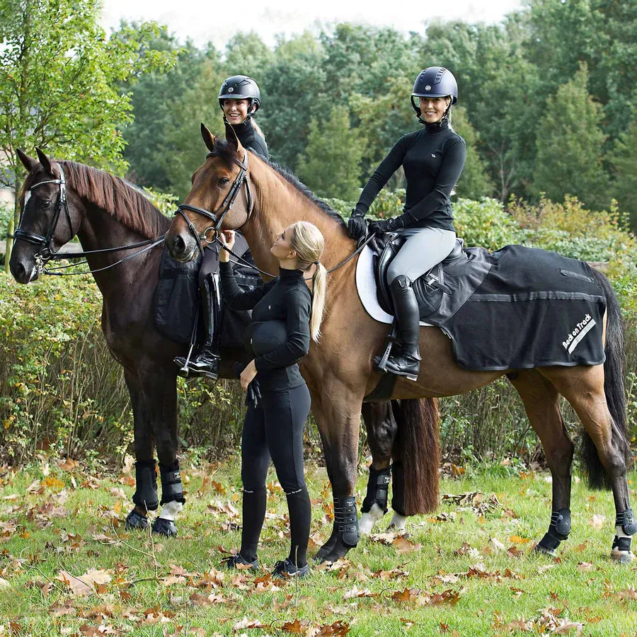 BOT Equine Exercise Sheet