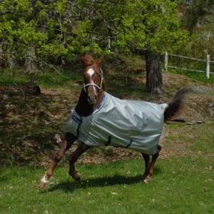Bucas Light Power Turnout Blanket