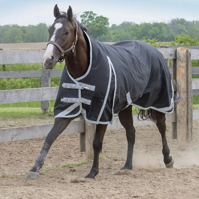Canadian Horsewear Maxim Turnout 300g