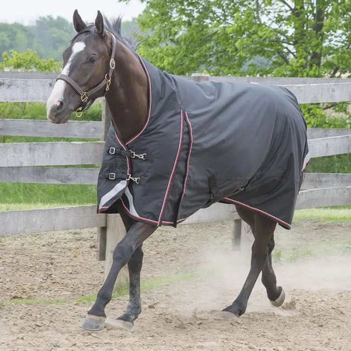 Canadian Horsewear Maxim Turnout 300g