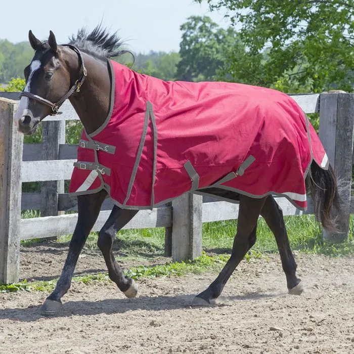 Canadian Horsewear Maxim Turnout 300g