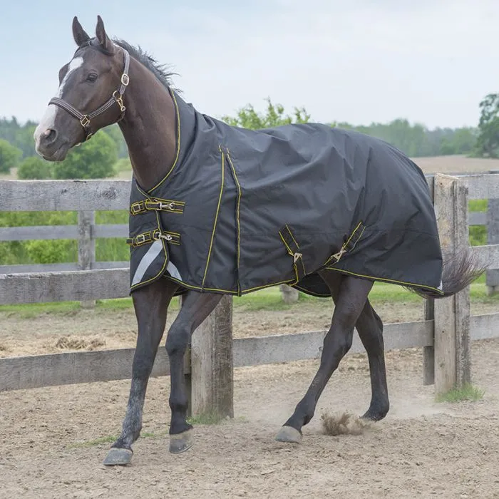 Canadian Horsewear Maxim Turnout 300g