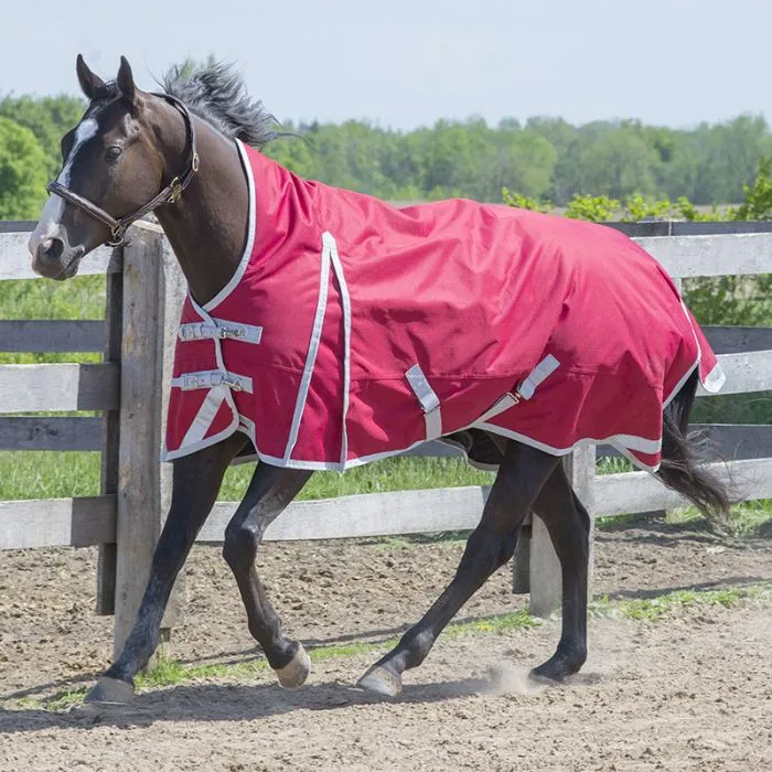 Canadian Horsewear Maxim Turnout 300g