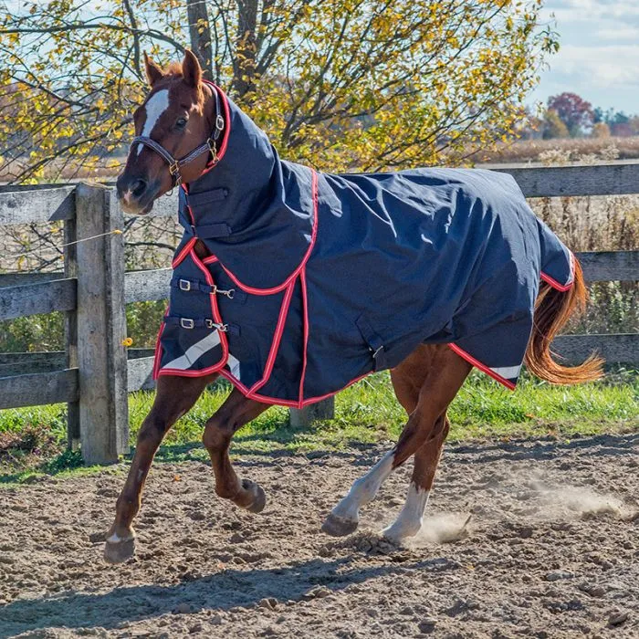 Canadian Horsewear Monarch Diablo - Turnout 300gm