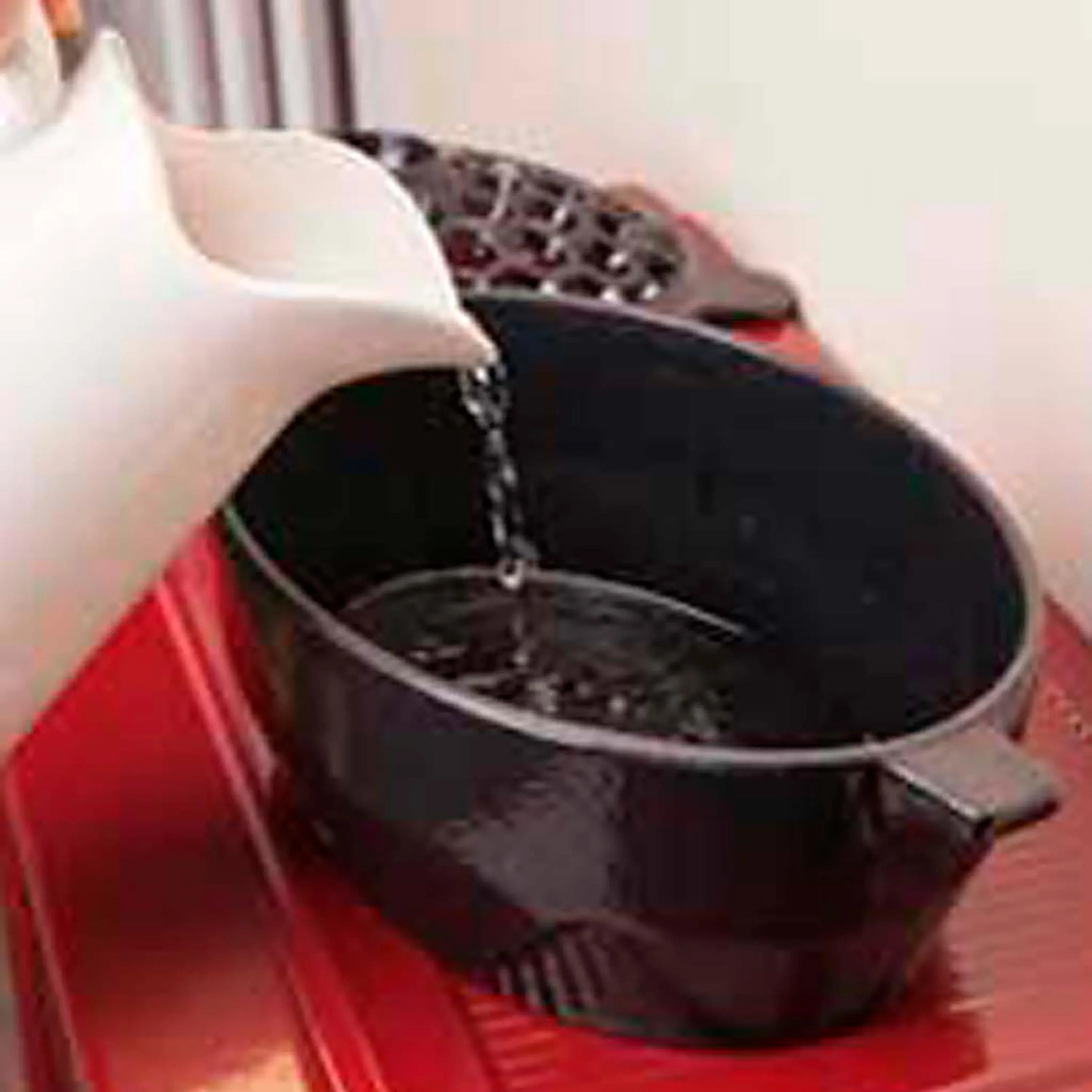 Cast Iron Moose Wood Stove Steamer