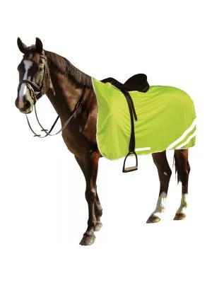 Covalliero Reflective Blanket