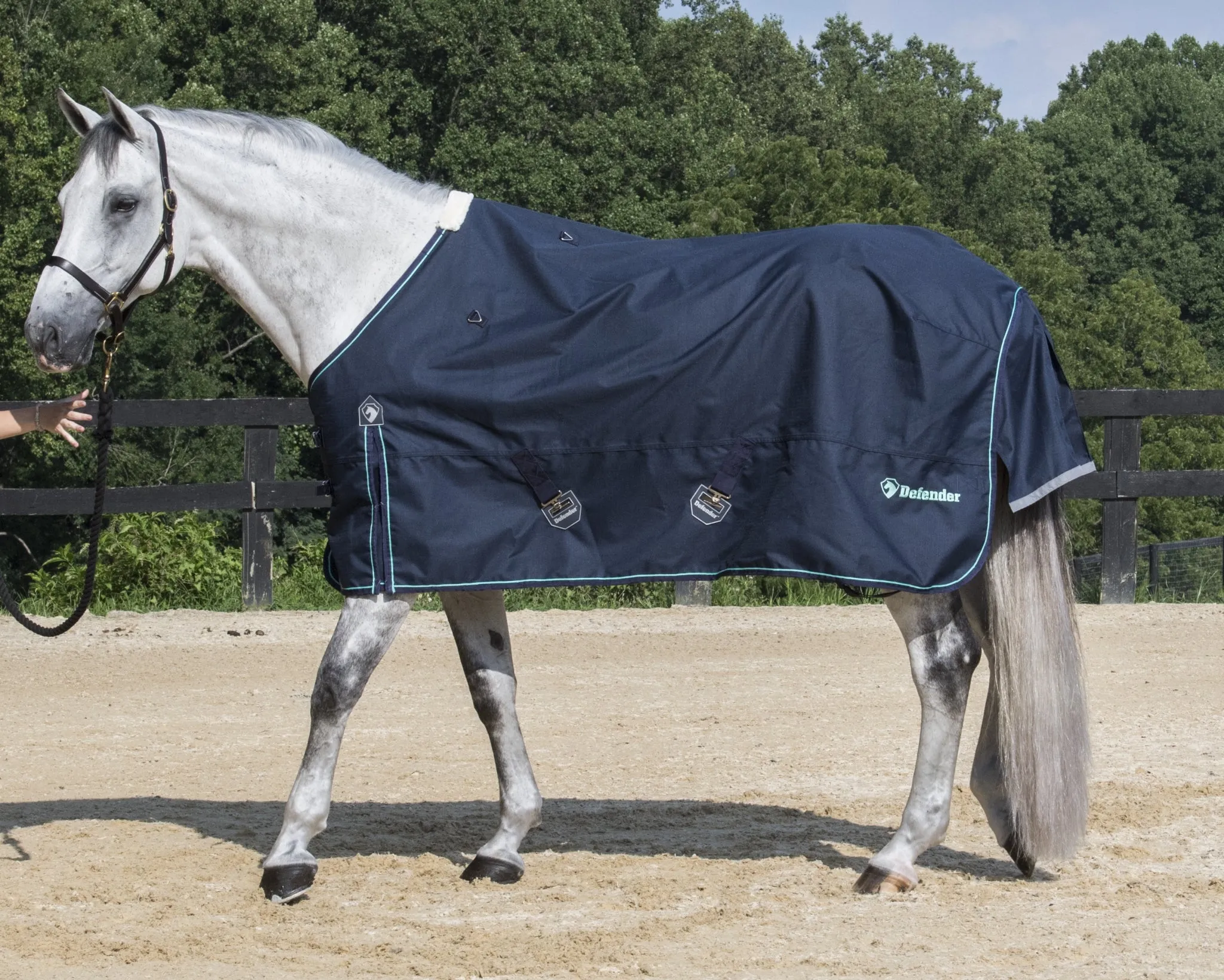 Defender Platinum 1200D 250g Turnout Blanket