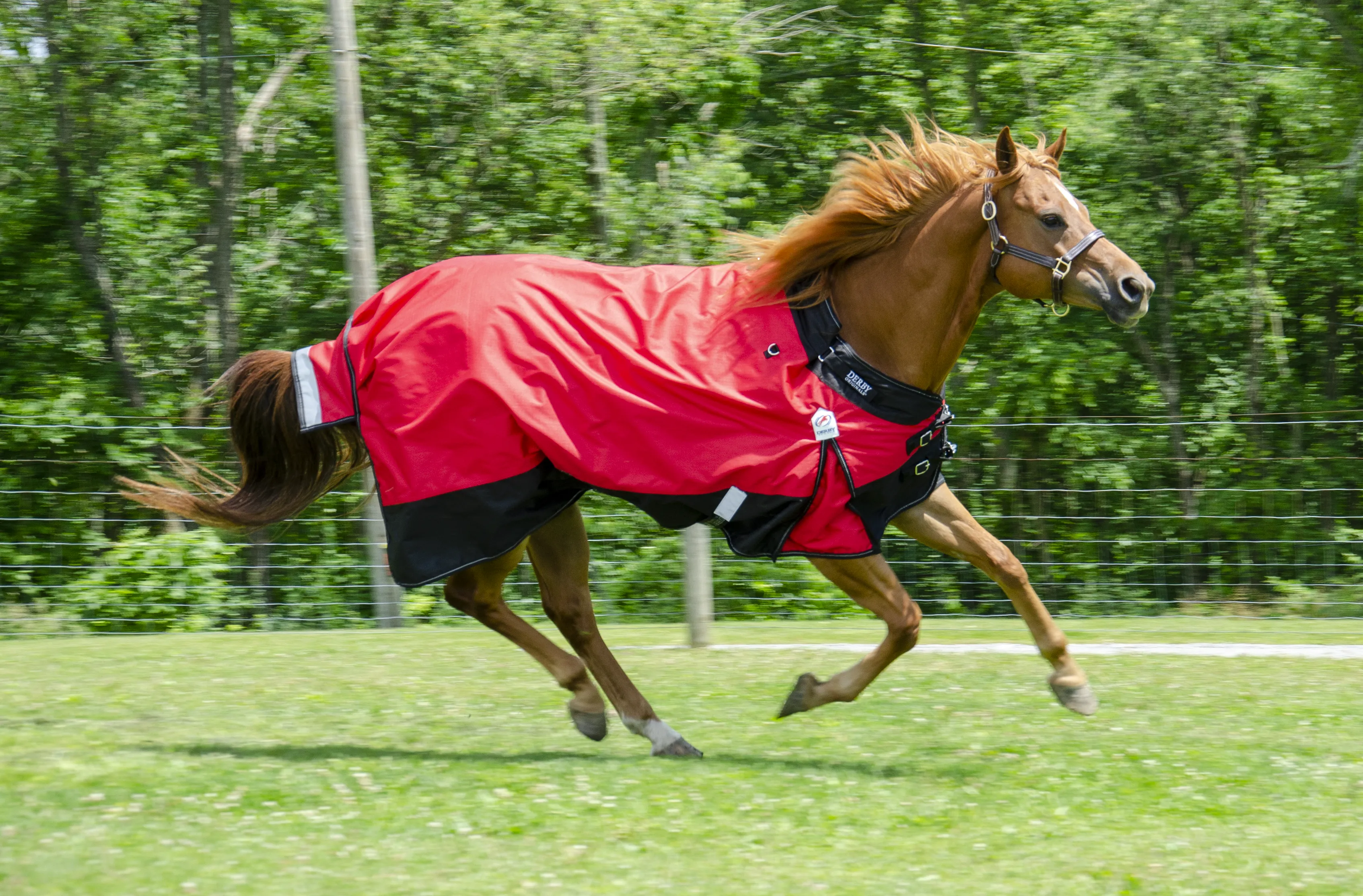 Derby Originals Nordic-Tough 1200D Heavy Weight Reflective Waterproof Winter Horse Turnout Blanket 300g with 2 Year Warranty