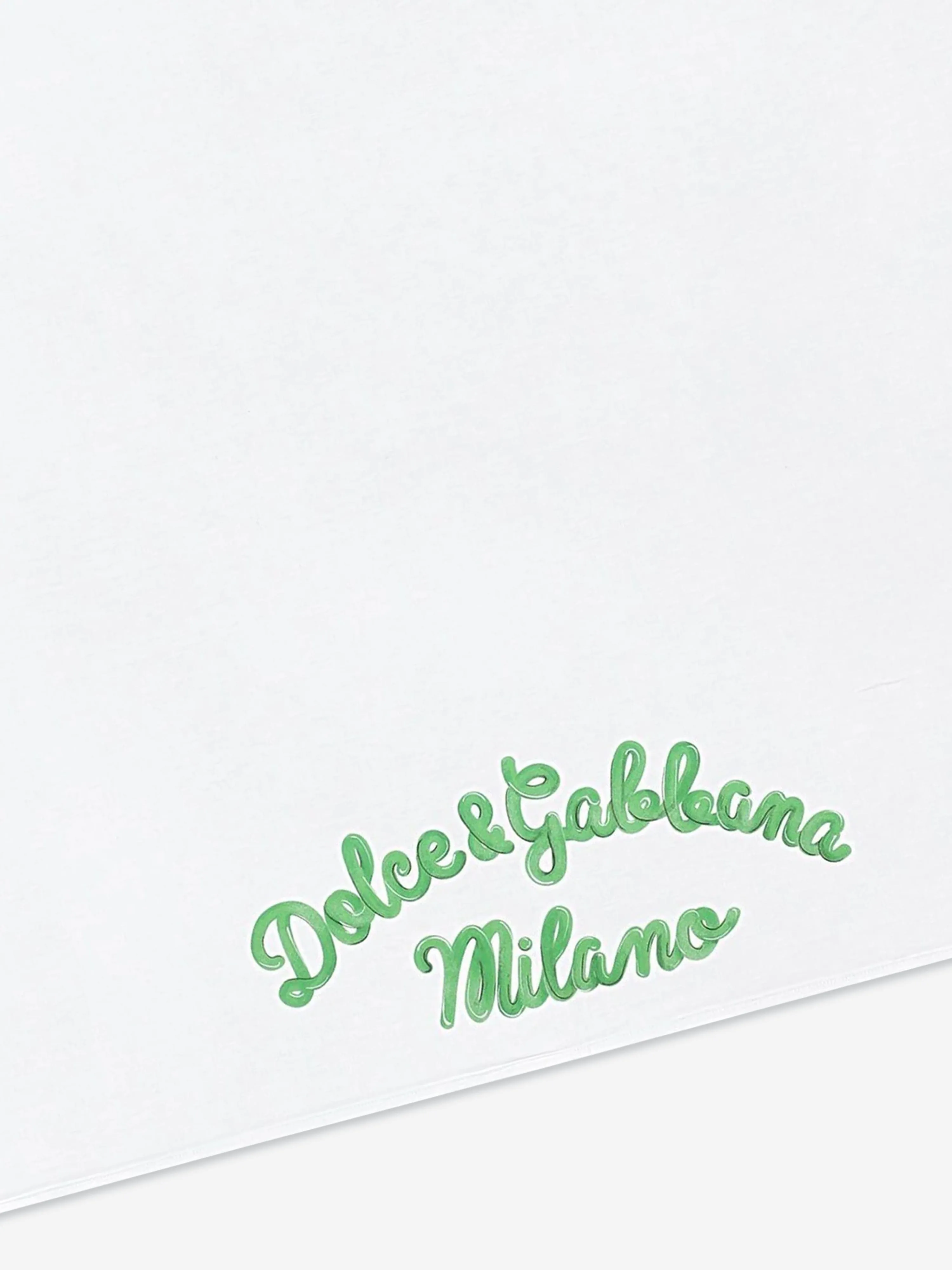 Dolce & Gabbana Baby Maiolica Print Blanket in Green