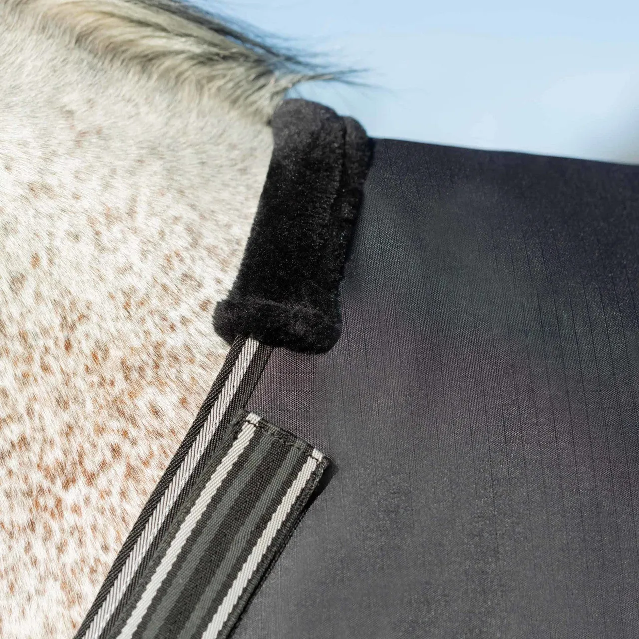 Equinavia Norse Heavy Weight Turnout Blanket 300g