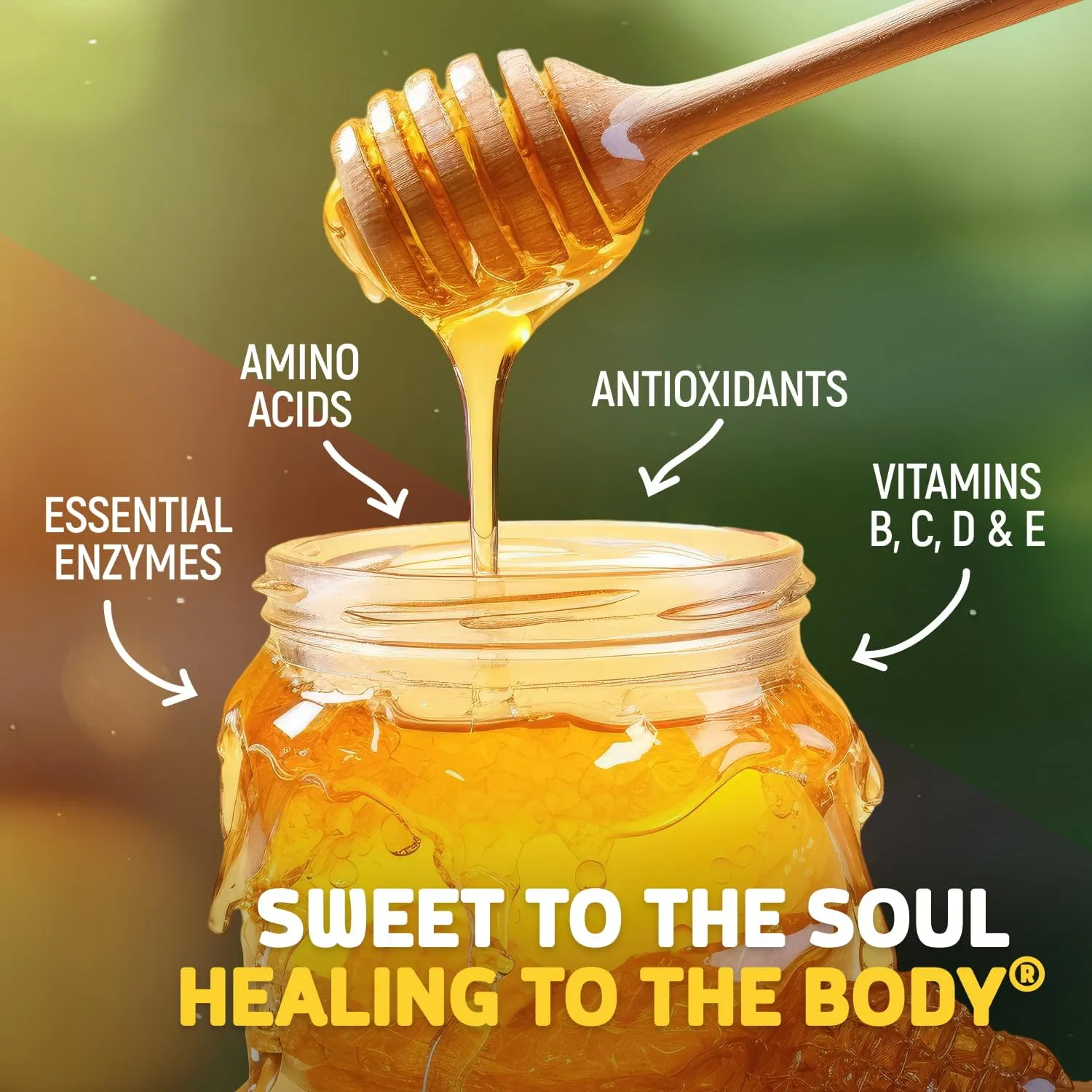 Fischer's 100% Organic Honey, USDA Certified, 24 Oz – Pure, Raw & Unfiltered Honey – All-Natural Sweetener – Rich Flavor Profile, Packed with Nutrients