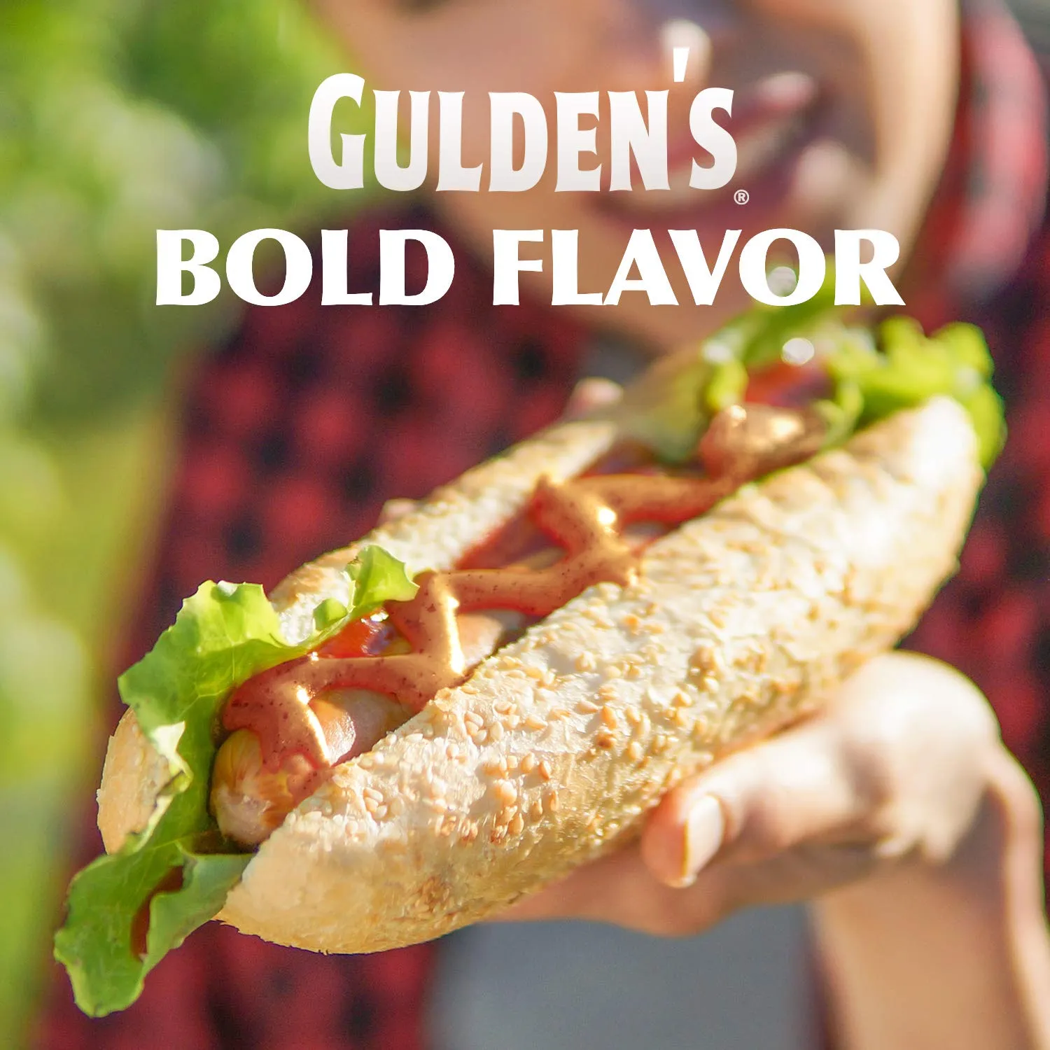 GULDEN'S Stone Ground Dijon Mustard Squeeze Bottle, 12 oz. (Pack of 12)