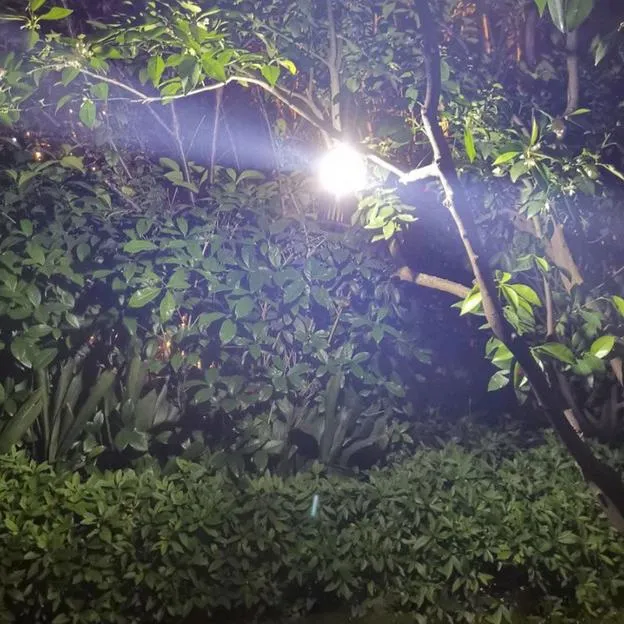 Hakol Outdoor Solar Powered LED Rechargeable Mosquito Zapper Lantern