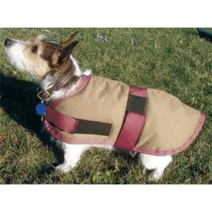 High Spirit Insulated Dog Blanket