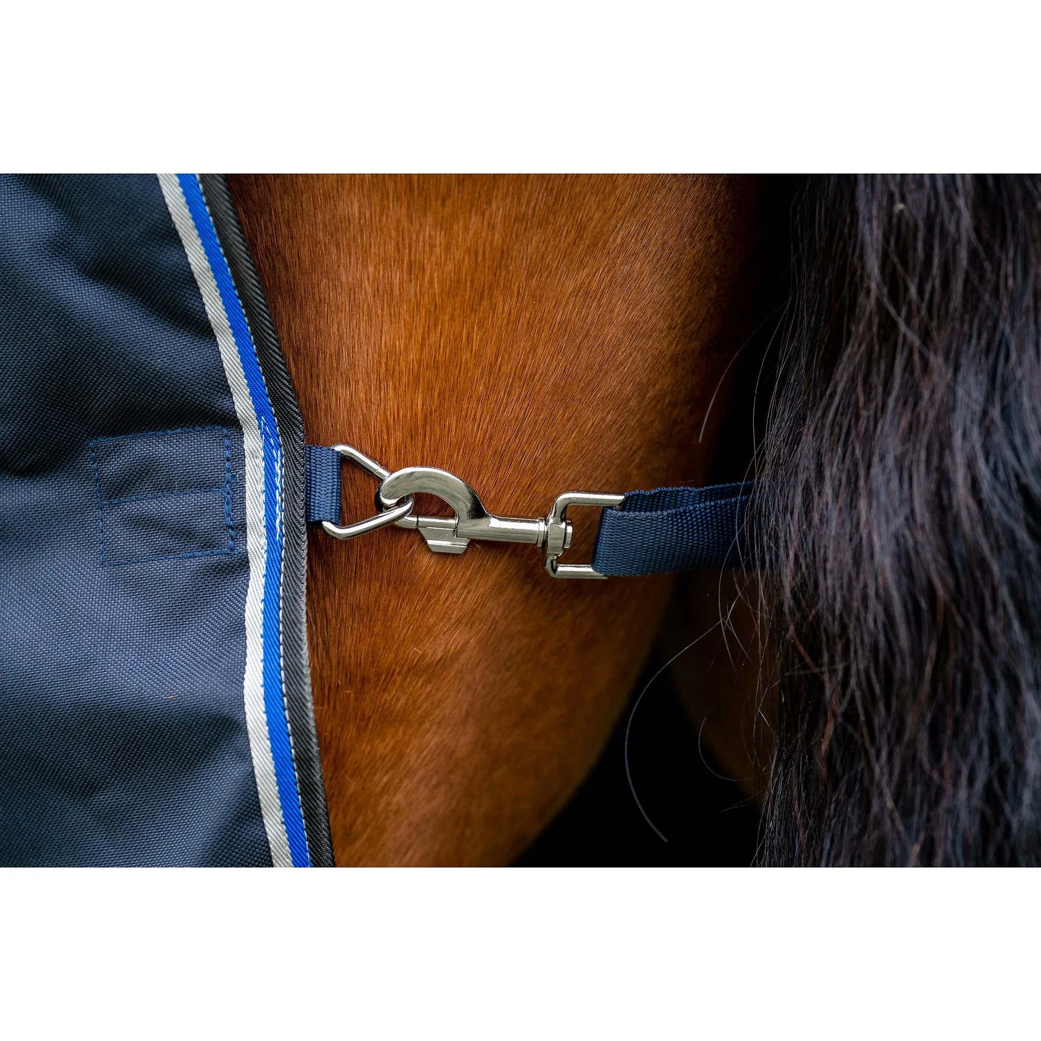Horseware Amigo Bravo 12 Medium Weight Original Turnout Blanket- Navy/Blue
