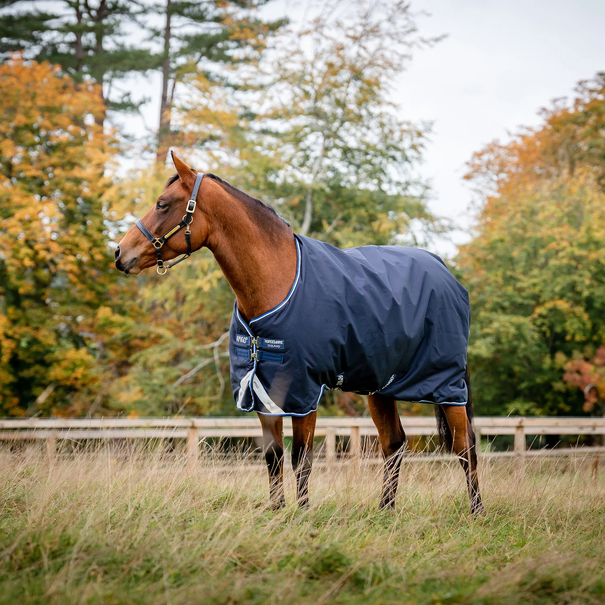 Horseware Amigo Bravo 12 Medium Weight Original Turnout Blanket- Navy/Blue