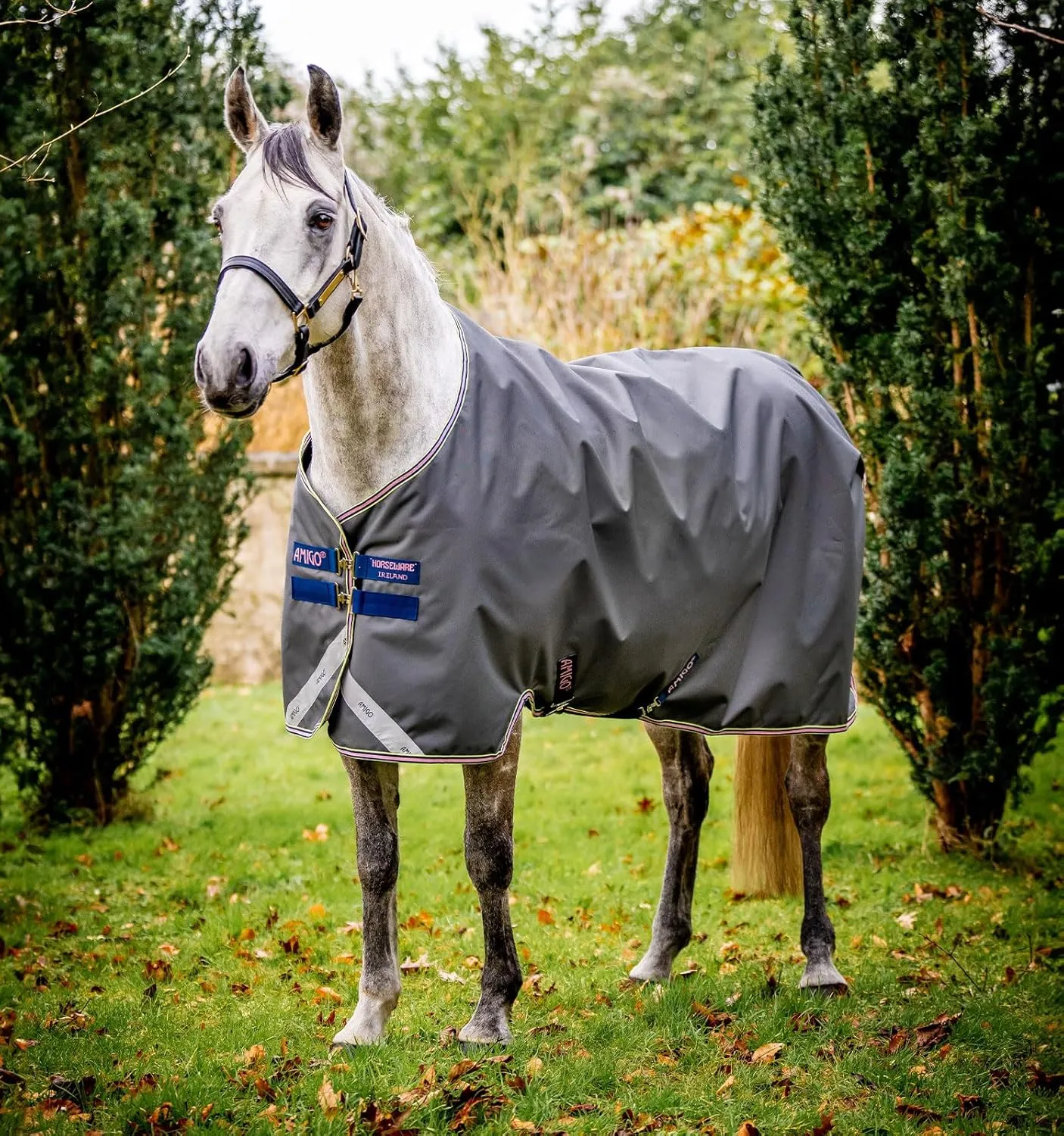 Horseware® Amigo® Bravo 12 Original Turnout Horse Blanket (0g Light)