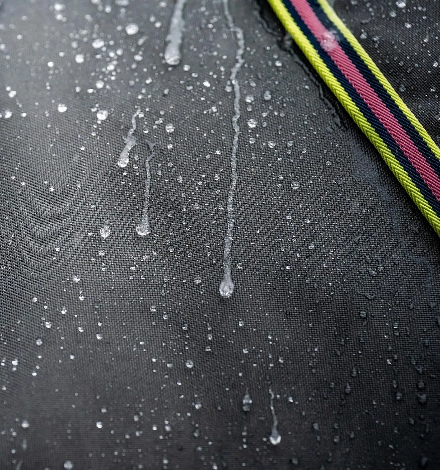 Horseware® Amigo® Bravo 12 Plus Turnout Horse Blanket (0g Light)