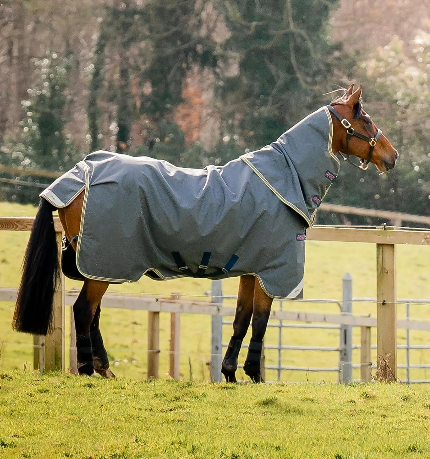 Horseware® Amigo® Bravo 12 Plus Turnout Horse Blanket (0g Light)