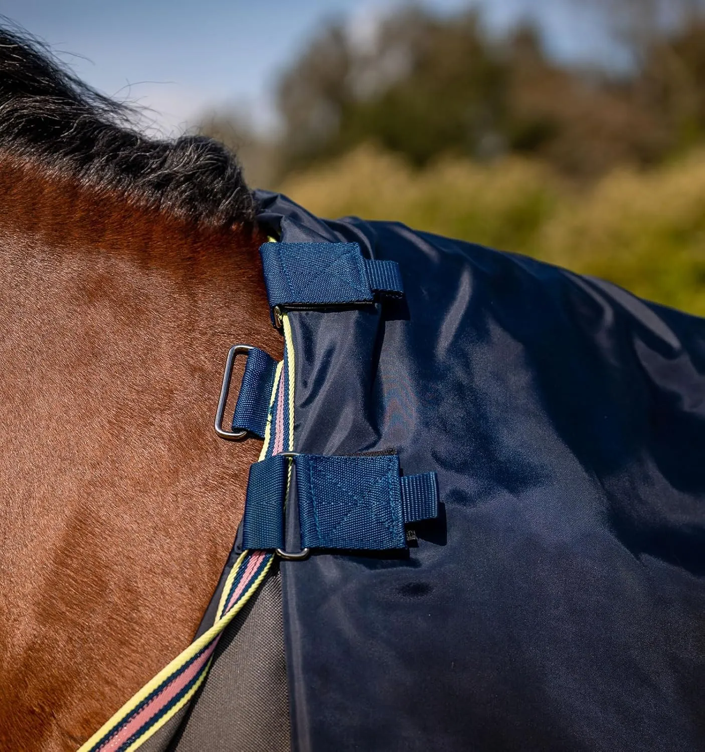 Horseware® Amigo® Bravo 12 Plus Turnout Horse Blanket (0g Light)