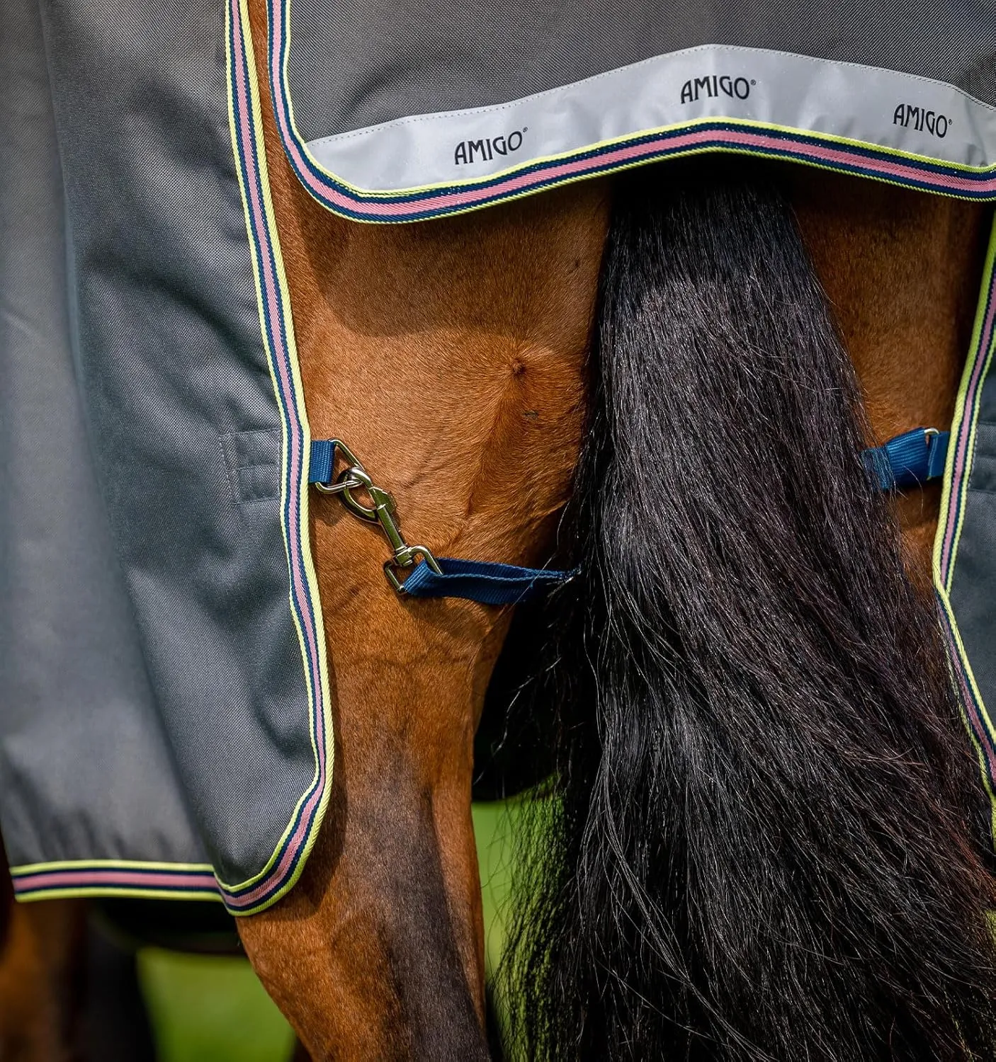 Horseware® Amigo® Bravo 12 Plus Turnout Horse Blanket (0g Light)