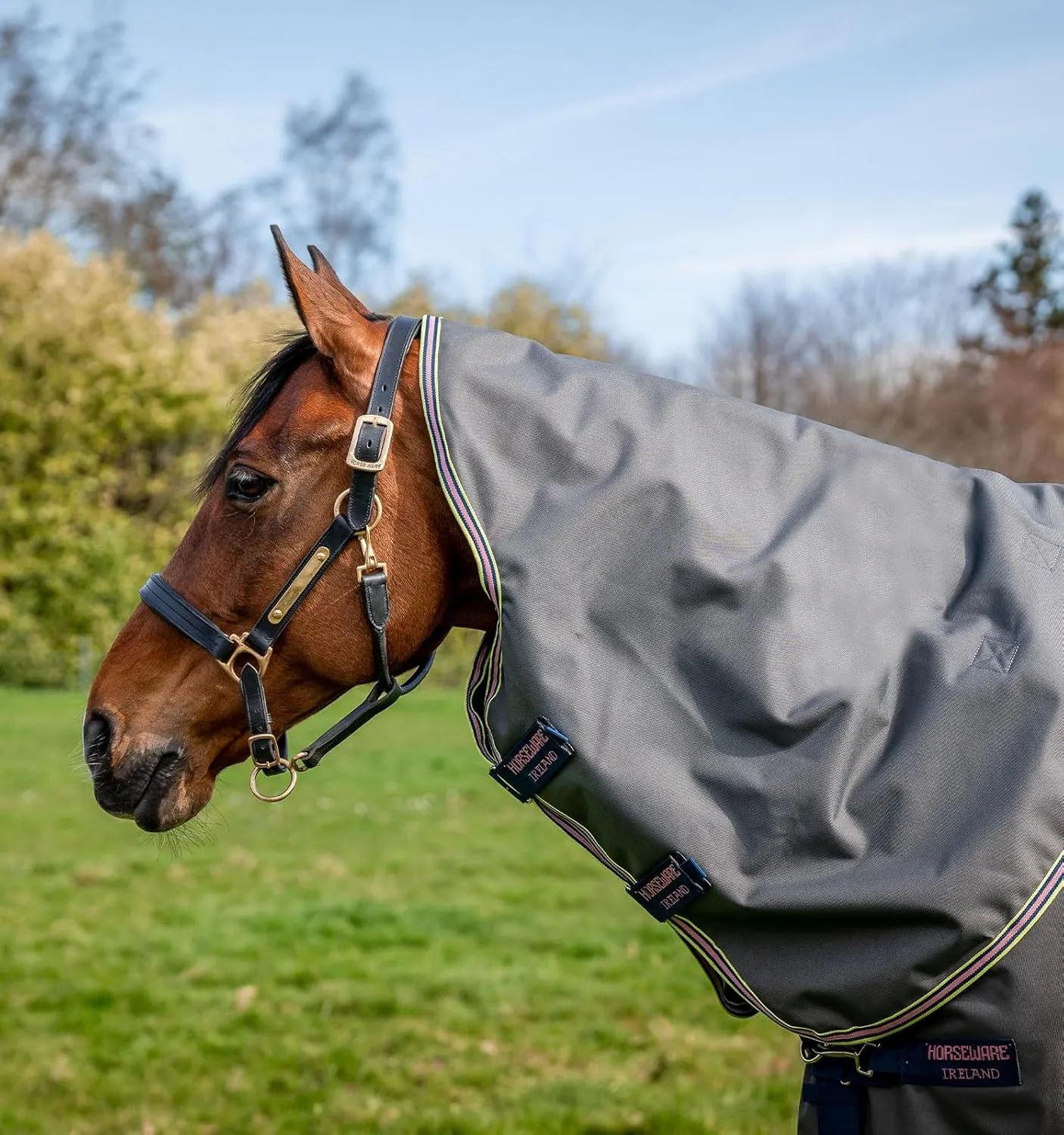 Horseware® Amigo® Bravo 12 Plus Turnout Horse Blanket (0g Light)