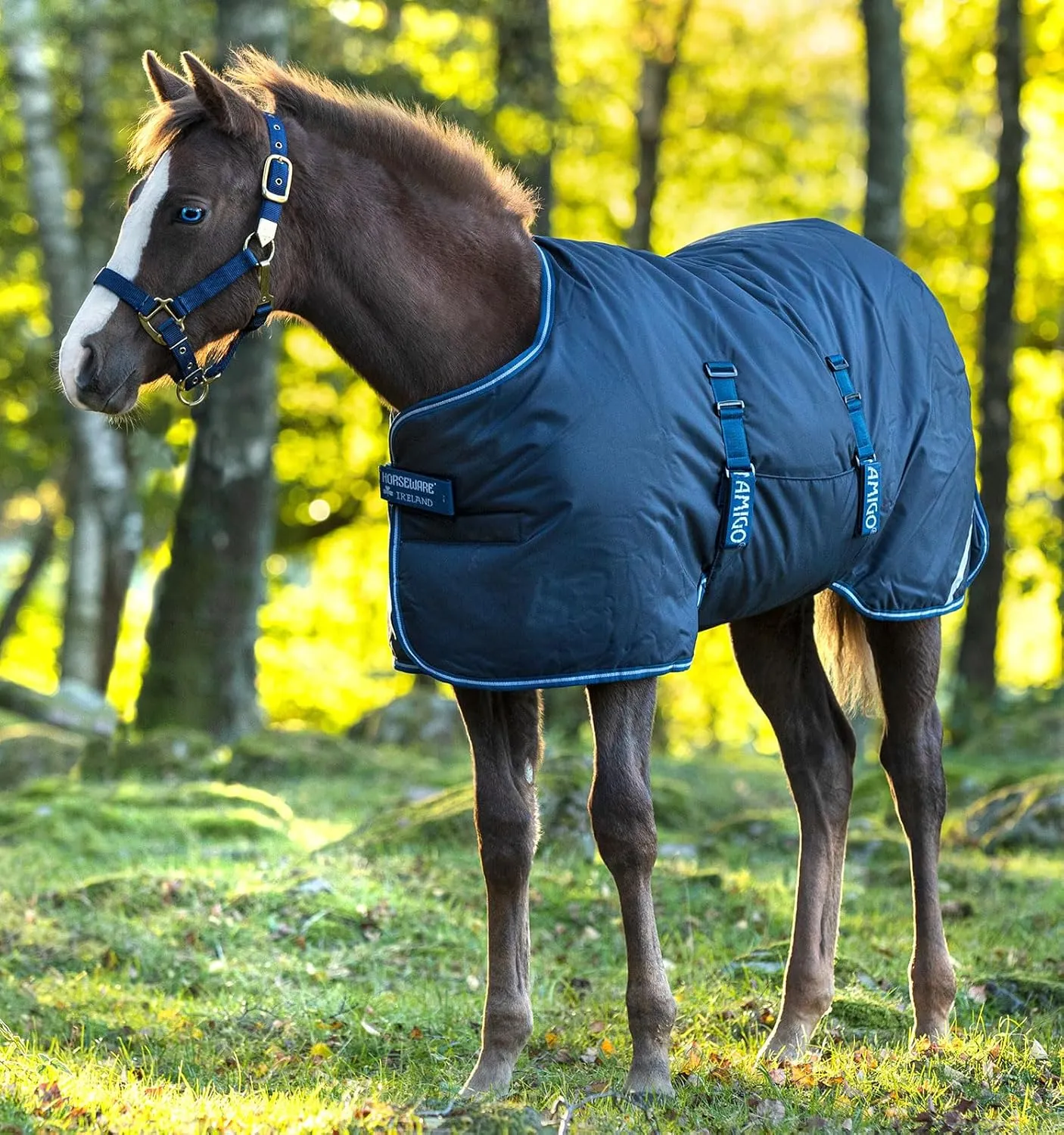 Horseware® Amigo® Ripstop Foal Turnout (200g Medium)