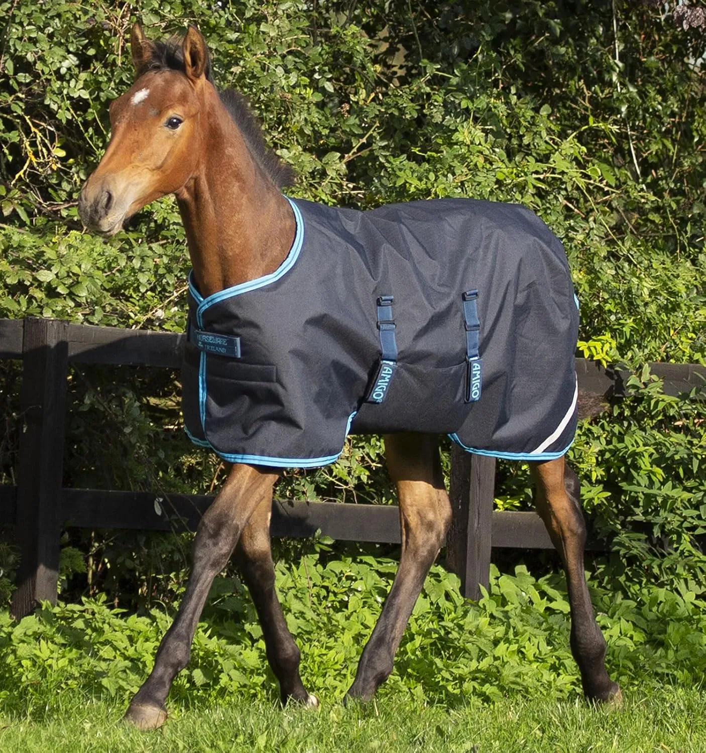 Horseware® Amigo® Ripstop Foal Turnout (200g Medium)