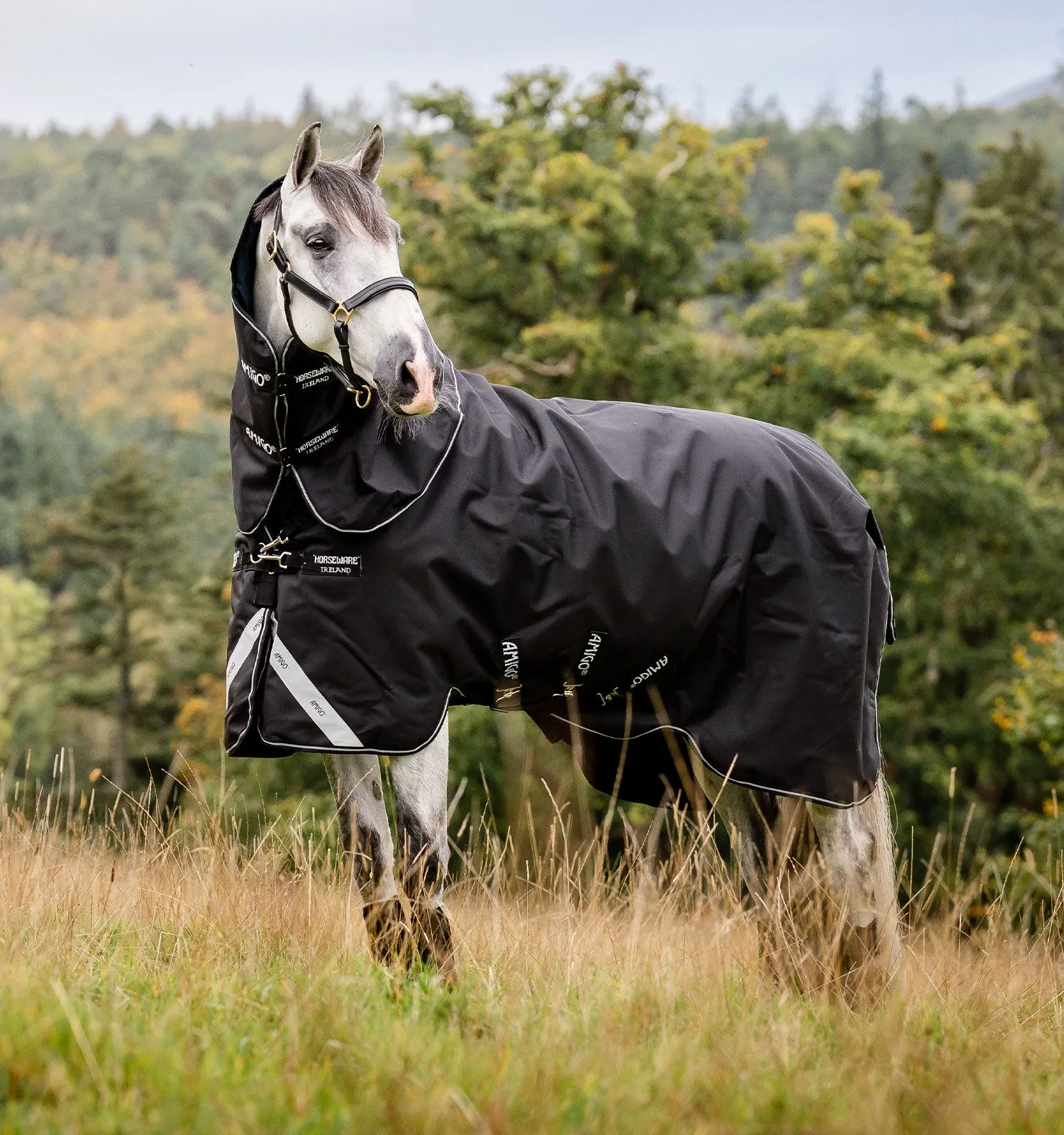 Horseware Amigo Super Bravo Plus Turnout Blanket (250g Medium)
