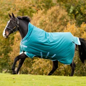 HORSEWARE IRELAND Amigo Bravo 12 Wug Hvy, Color: Storm Green/Turquoise, Aqua, Size: 75 (AARW73-GEDC-75)