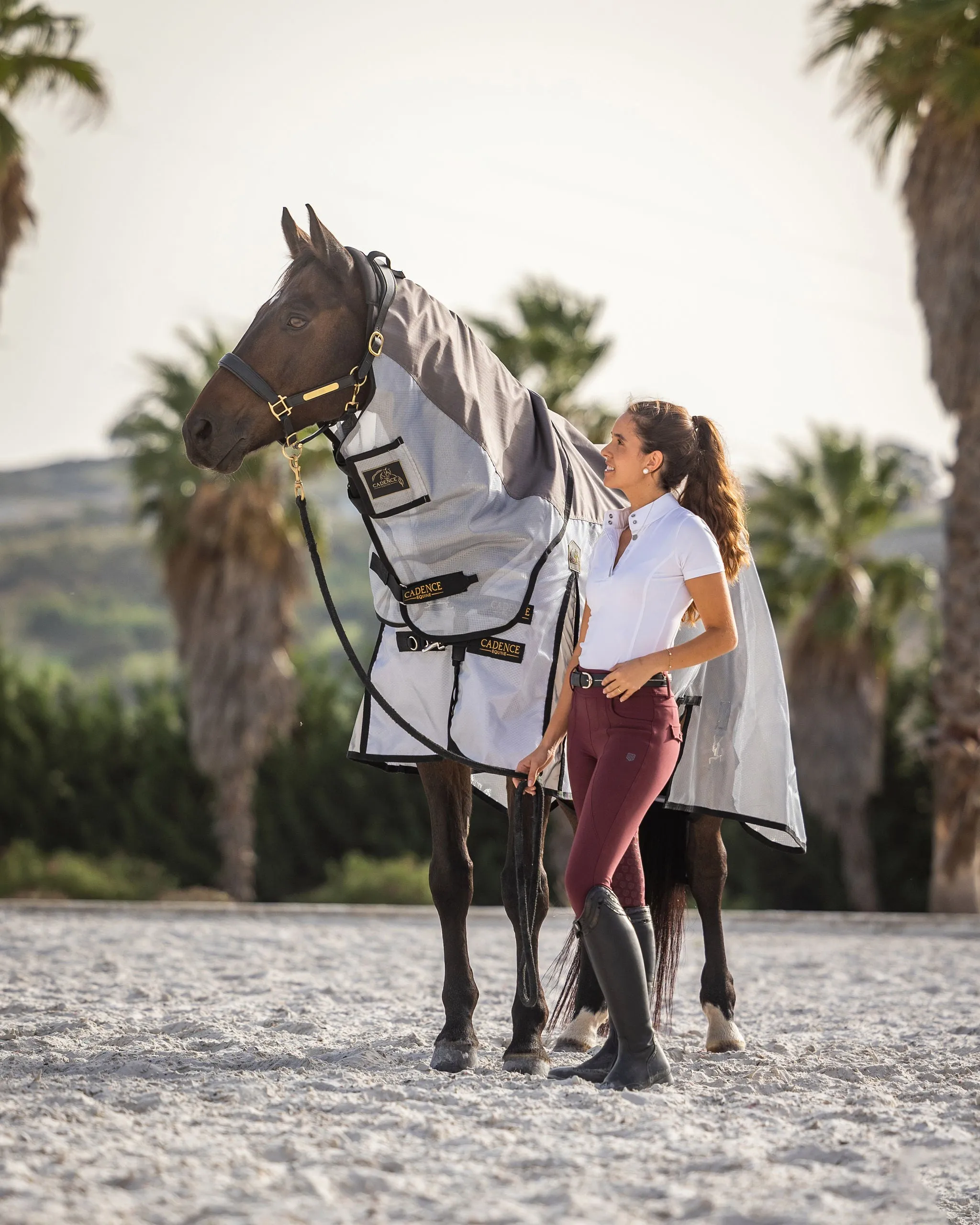 Hybrid Fly Sheet