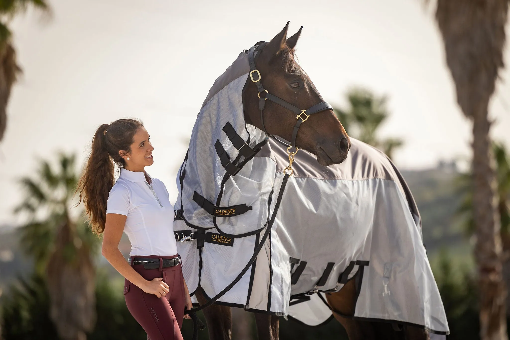 Hybrid Fly Sheet