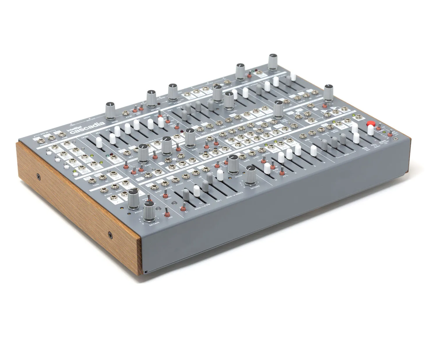 Intellijel Cascadia Semi-Modular Mono Synth - Grey