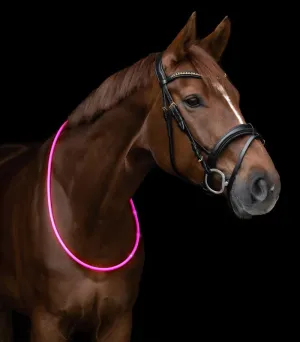 LED Neck Strap for Horses