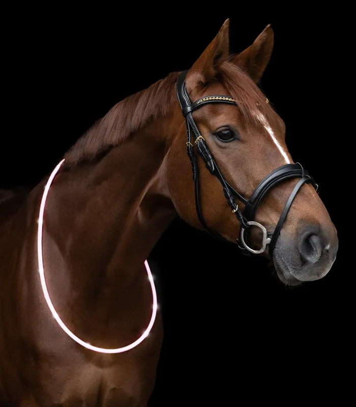 LED Neck Strap for Horses