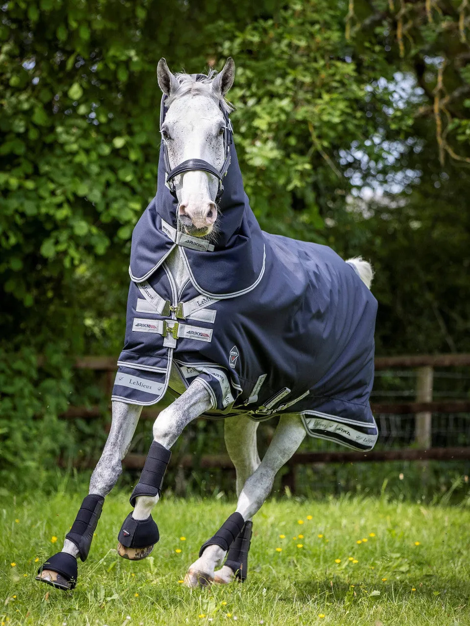 LeMieux Arika Storm-Tek Blanket - Medium 200g