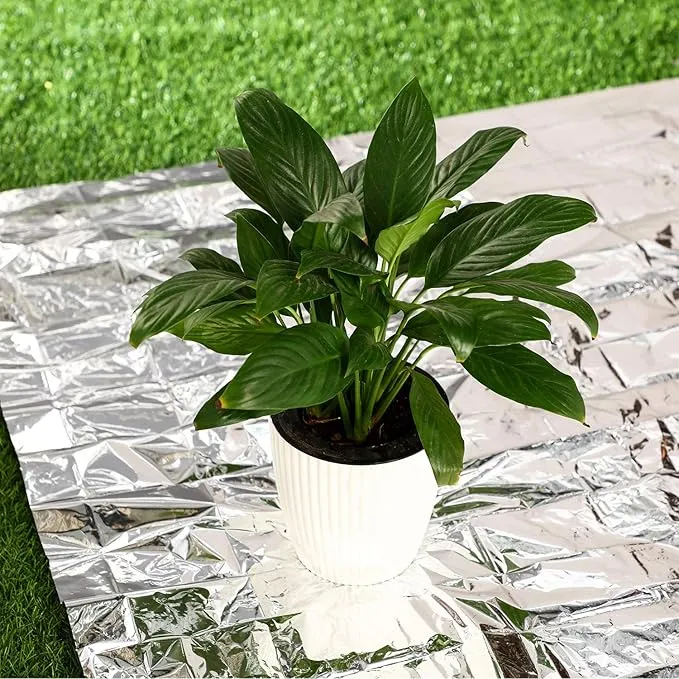 Maitys 4 Pcs Emergency Blankets High Silver Reflective Foil Sheet Heat Foil Protection Rescue Blankets Camping Blanket Hiking Space Blankets and Garden Greenhouse Covering Plant Growth Sheet