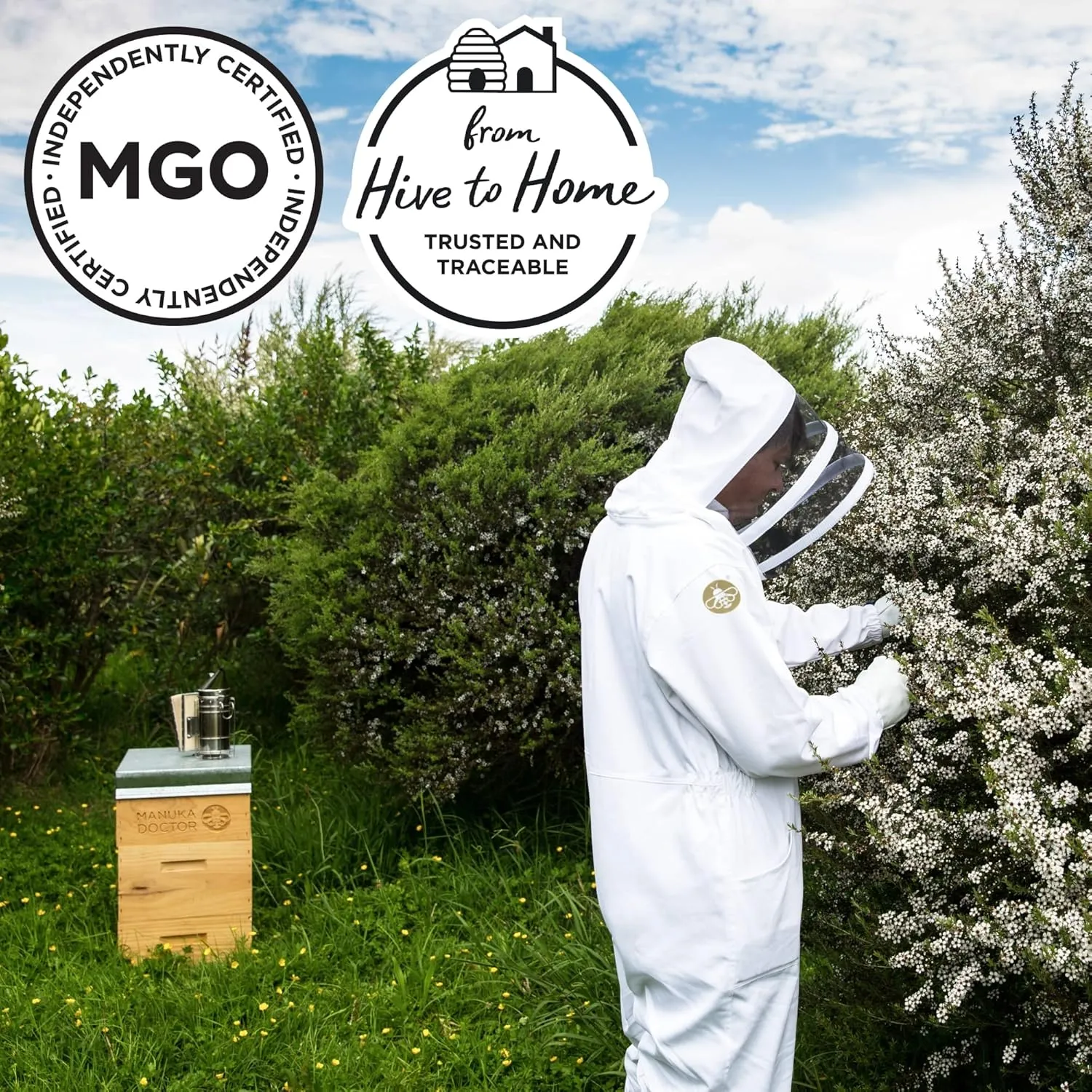 MANUKA DOCTOR - MGO 80  SQUEEZY Manuka Honey Multifloral, 100% Pure New Zealand Honey. Certified. Guaranteed. RAW. Non-GMO (10.58 oz)