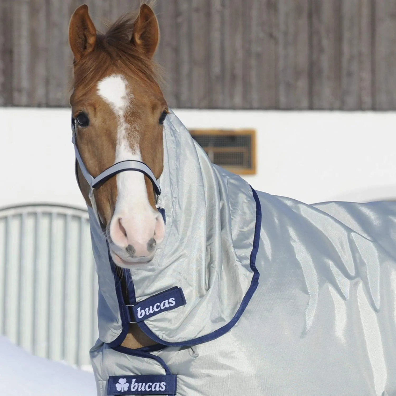 Medium Horse Blanket, Silver with Navy Trim, Ballistic Nylon, Waterproof, Round Neck, Snap Closure, All Seasons, Outdoor/Casual, Weather Resistant, UV Protection, All Ages, Medium (69"-72")