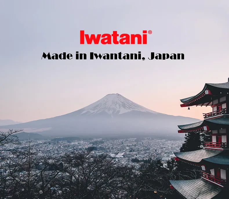 Mobi Garden x Iwatani Cassette Stove - Black