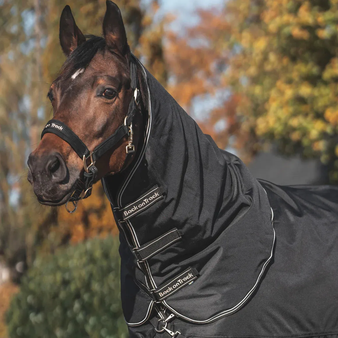 Obsidian Turnout Blanket With Neck Cover (FREE SHIPPING IN THE US!)