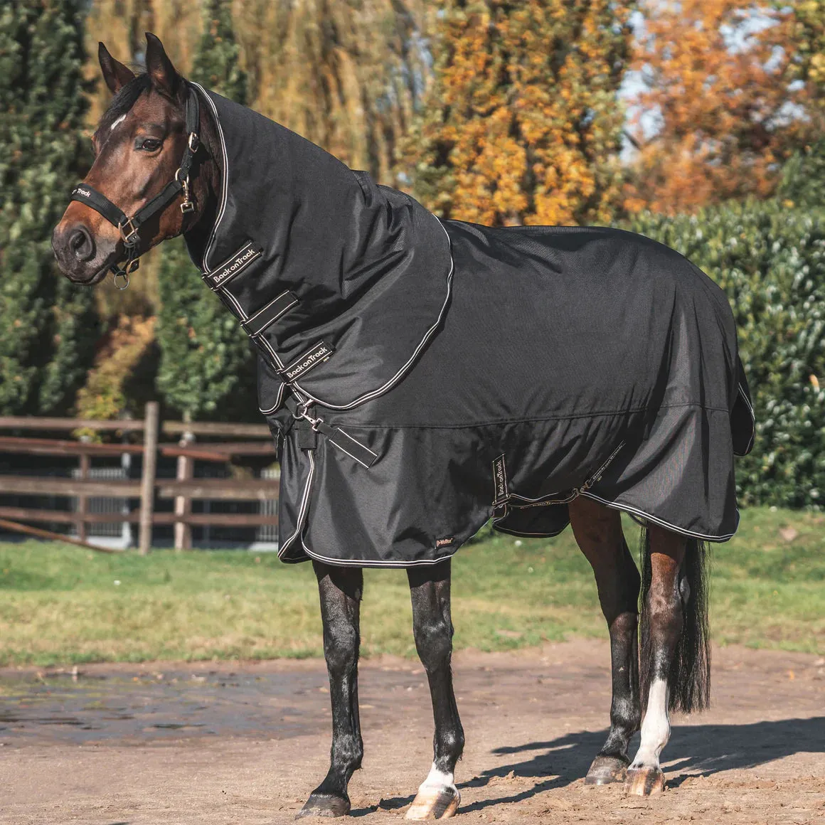 Obsidian Turnout Blanket With Neck Cover (FREE SHIPPING IN THE US!)